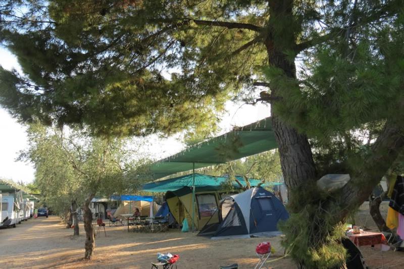 Fontana Delle Rose Campsite Mattinata